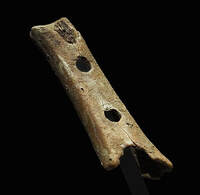 Picture of the Divje Babe Neanderthal flute